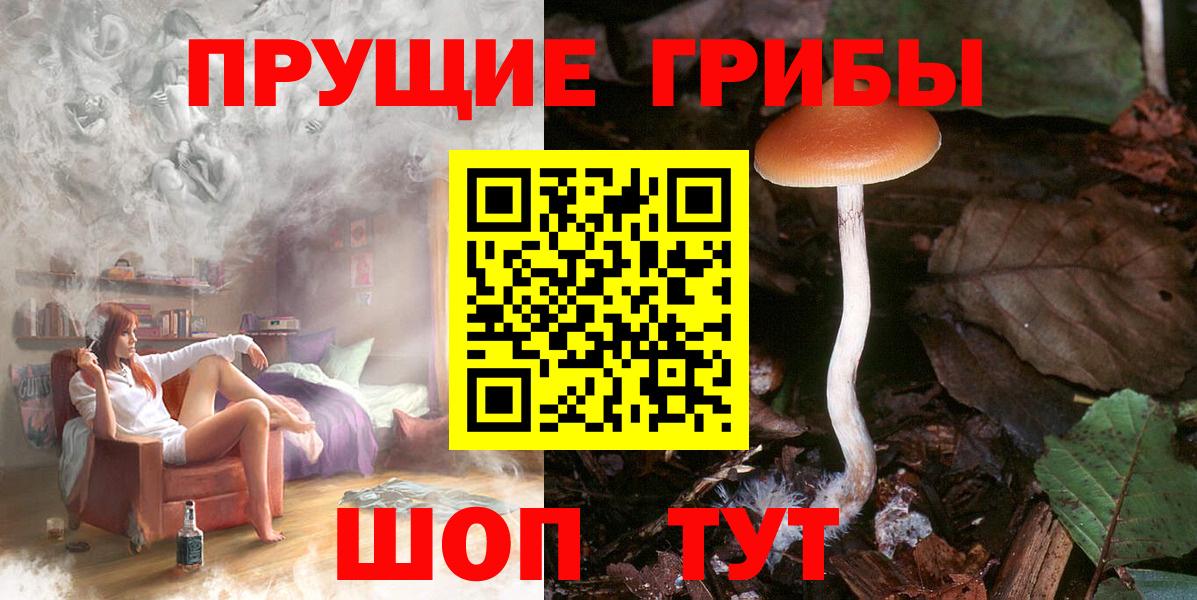 Галлюциногенные грибы Psilocybe Дзержинск